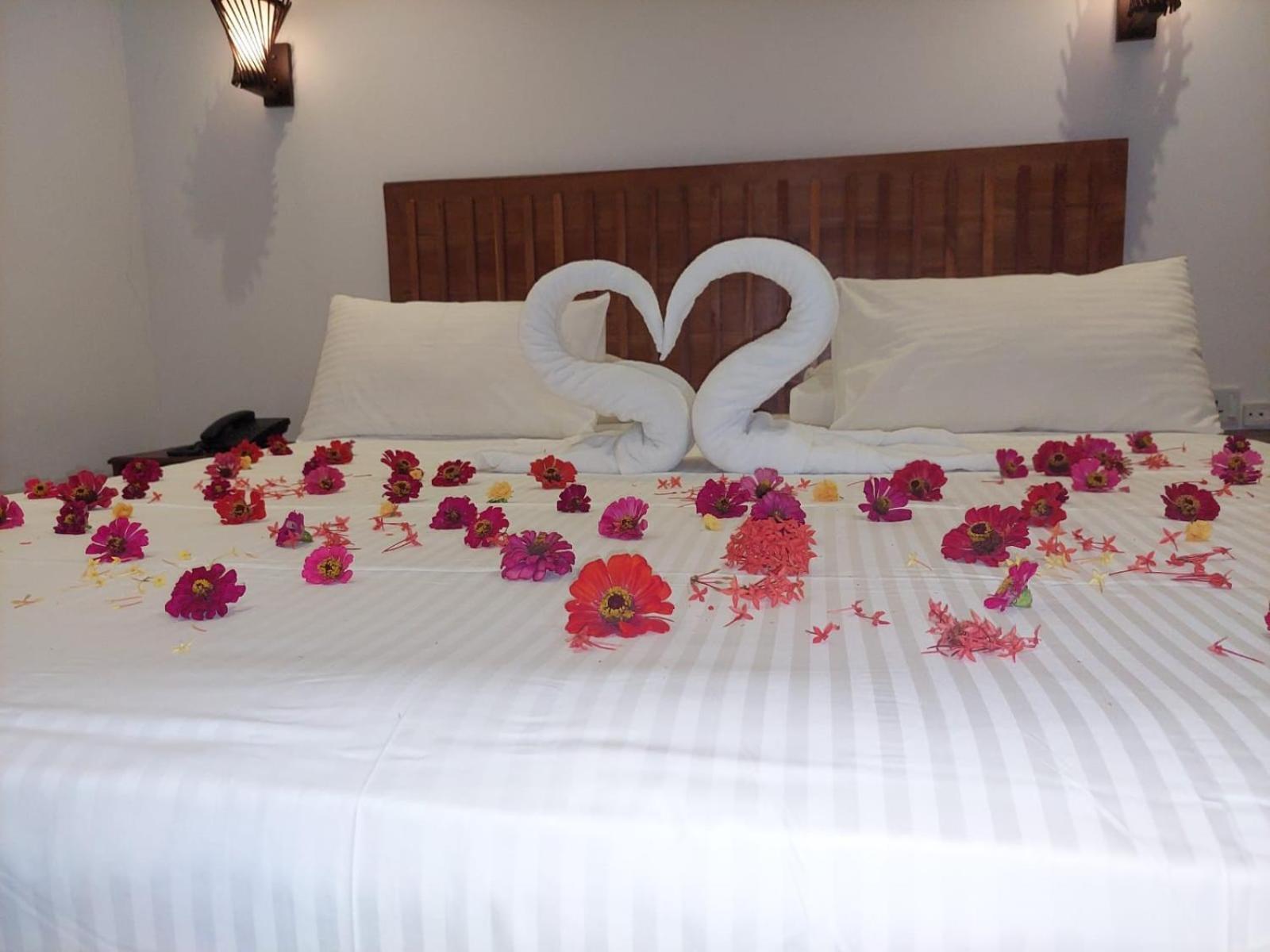 J7 Villaj Resort Trincomalee Esterno foto